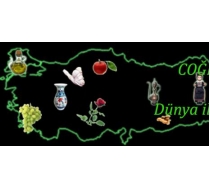 anakkale Marka Patent